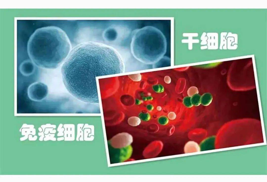2024年全国高考理综试题及答案_全国高考理综答案2021_202|年高考理综试题及答案