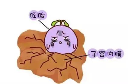 女澡堂洗澡暗拍_女澡堂全程被拍_军训大澡堂洗澡尴尬女