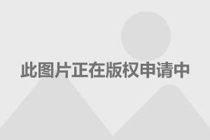 探秘游戏宝藏湾：冒险与合作的极致体验