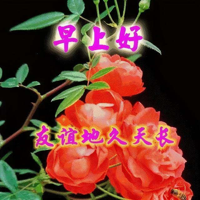 哥们珠神_大话神仙魔火邪珠_神瑛侍者和绛珠仙草