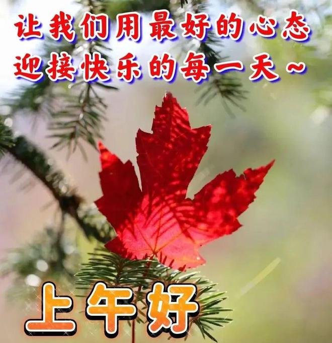 种花游戏_种花游戏赚钱_秘密花园种花游戏