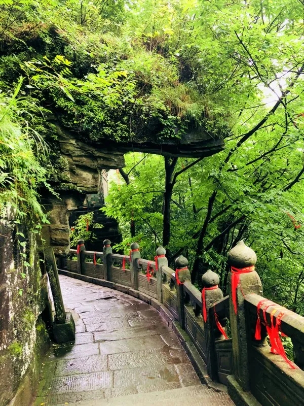 金庸群侠传2武当和华山_金庸群侠传华山派武功_金庸群侠传武当轻功心法