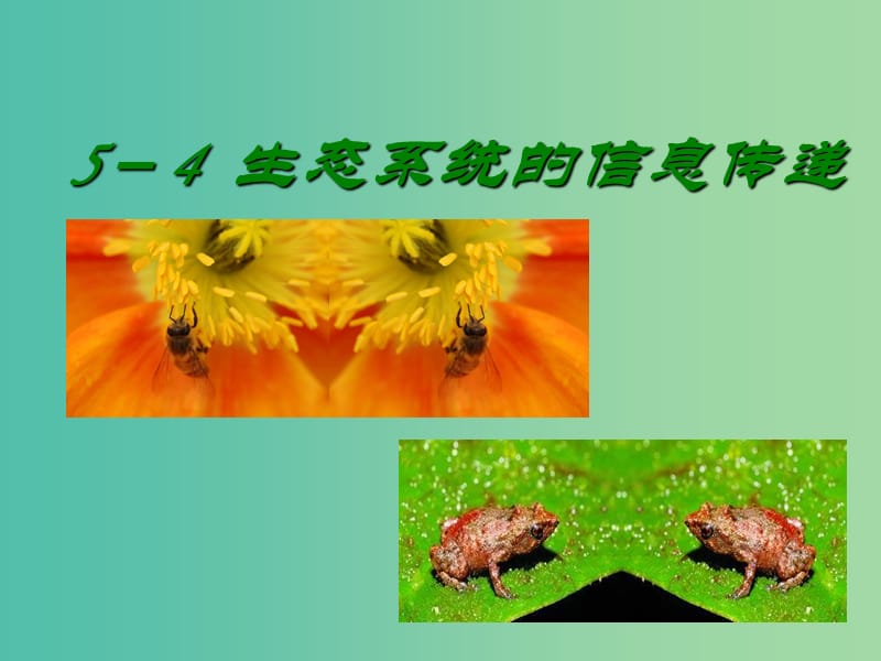 ppt动画-PPT动画：赋予幻灯片生命，情感和信息传递的艺术与技巧