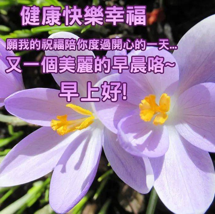 金山打字在线手机版_金山快快打字通在线_金山打字通手机在线打字