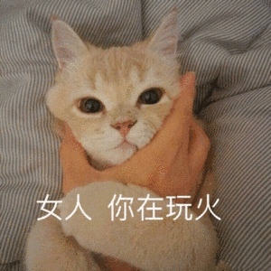 91y充值中心官网_91y游戏中心传奇来了_91y奖点兑换登录中心