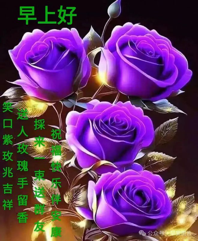 日历购票_抢票日历表_人生日历抢票软件2024的好用吗