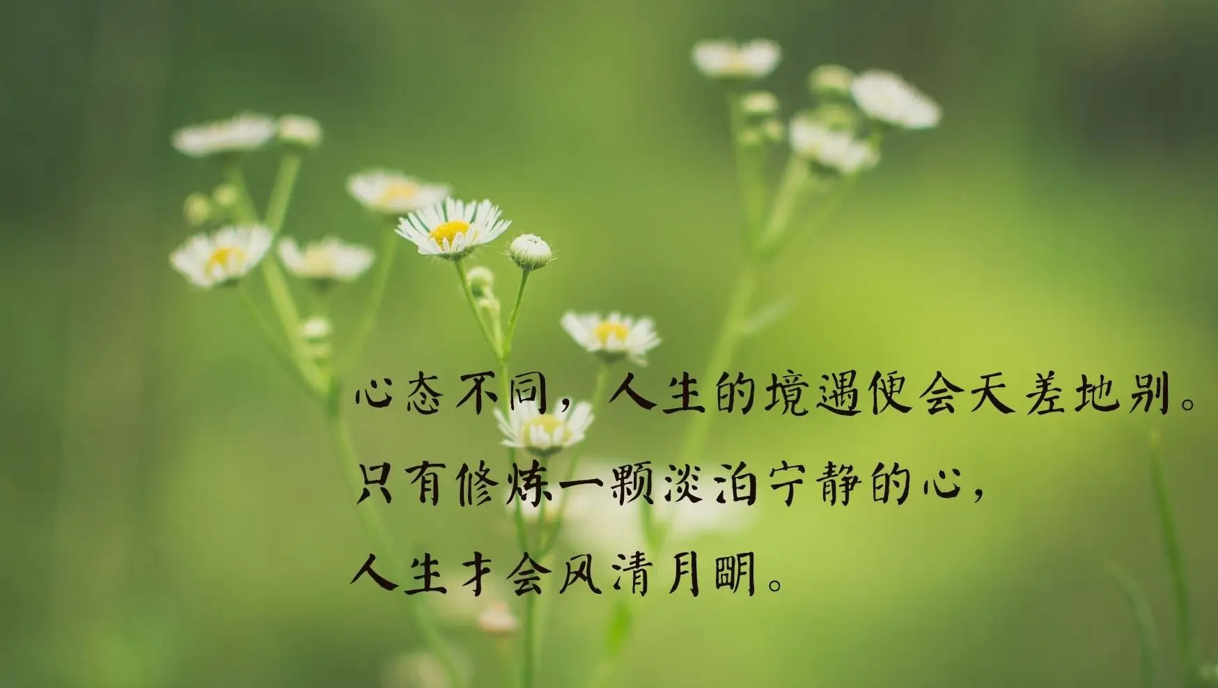 洛克王国赤姬恩怨情仇_洛克王国赤姬_洛克王国巨蟹宫赤姬