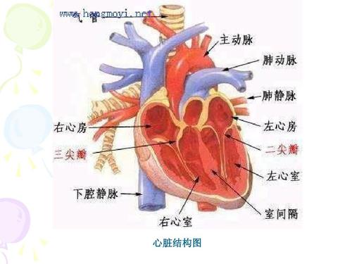 上古神器容器怎么拿_上古神器2特殊物品_上古所有神器