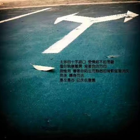 十字开头的成语_十字开头成语有哪些成语大全_十字开头成语大全四个字
