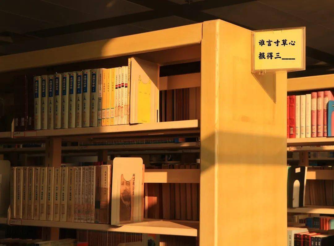 神秘视线14图文攻略-神秘视线 14：潜入充满谜题与惊喜的古老图书馆