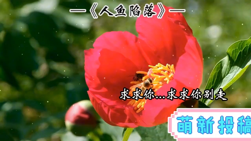游戏结束之从心爱你广播剧_游戏结束之从心爱你广播剧_广播剧结束心爱游戏是哪一集