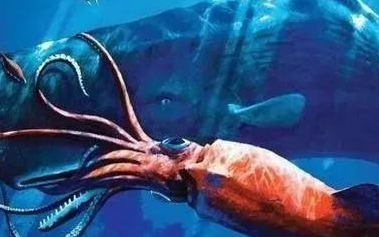 炫舞宠物洗练攻略_炫舞宠物洗练怎么弄_炫舞所有宠物洗练
