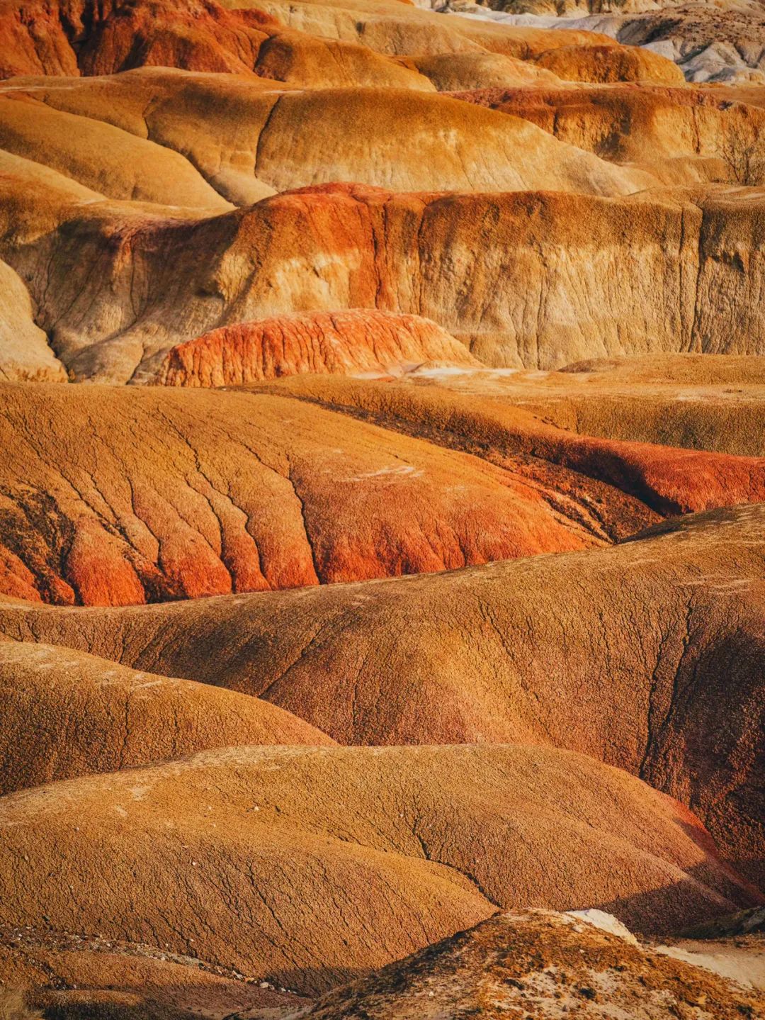 黄岛有什么好玩的地方_黄岛好玩的景点_黄岛好玩的地方排行榜