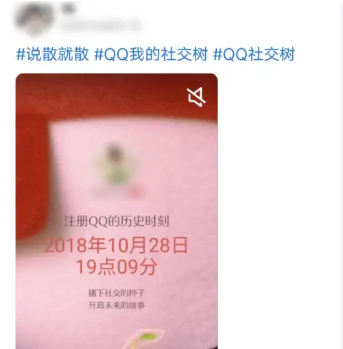 2024年qq软件_2024年是什么命年_2024年夏季奥运会