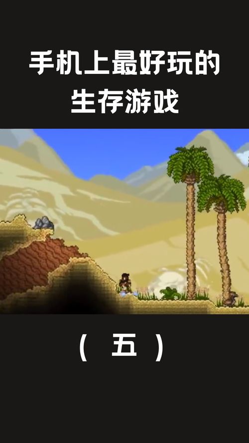手机好玩的生存游戏,盘点手机上最刺激的生存游戏